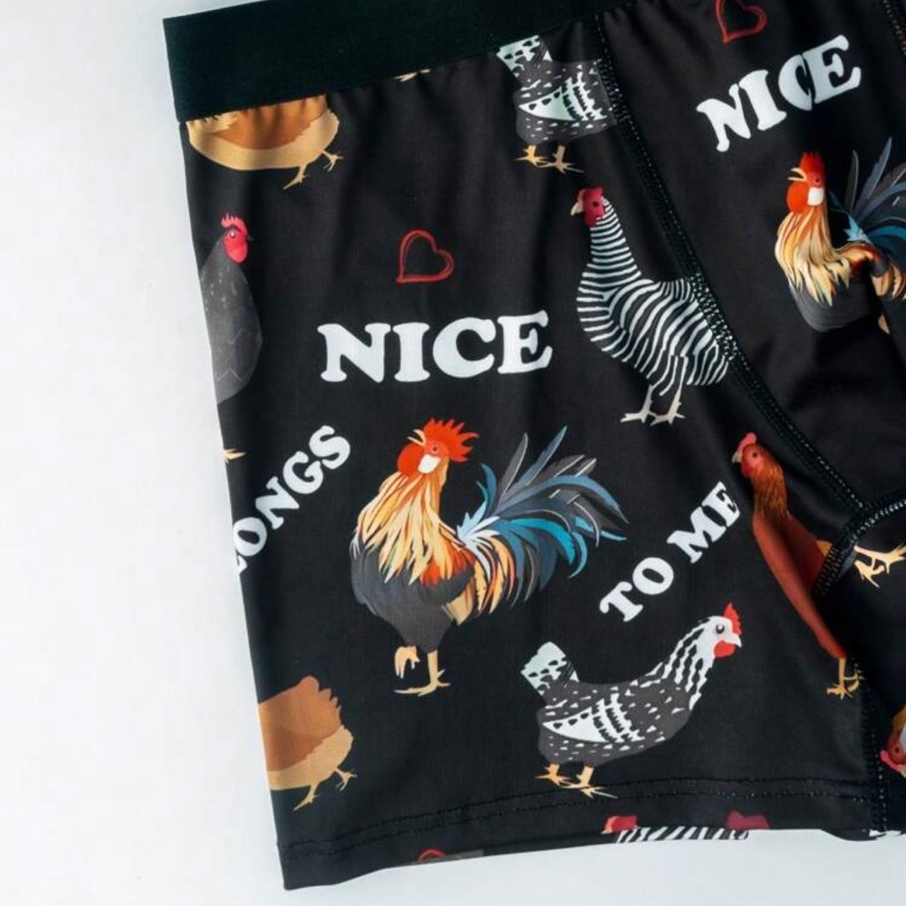 ๐ชท "Nice ๐ Belongs to Me" Funny Boxer Briefs - Picture 5 of 7